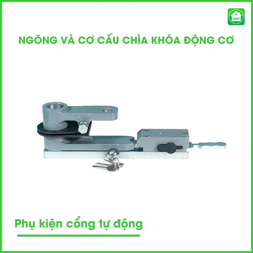 ngong va co cau chia khoa2